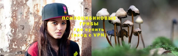 а пвп мука Алзамай