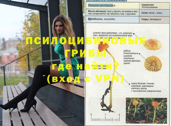 скорость Россошь