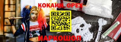крисы Волгодонск