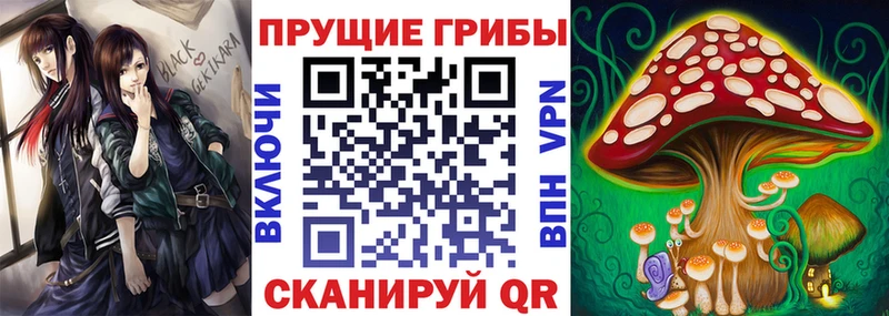Галлюциногенные грибы Psilocybine cubensis  дарнет шоп  Апрелевка 