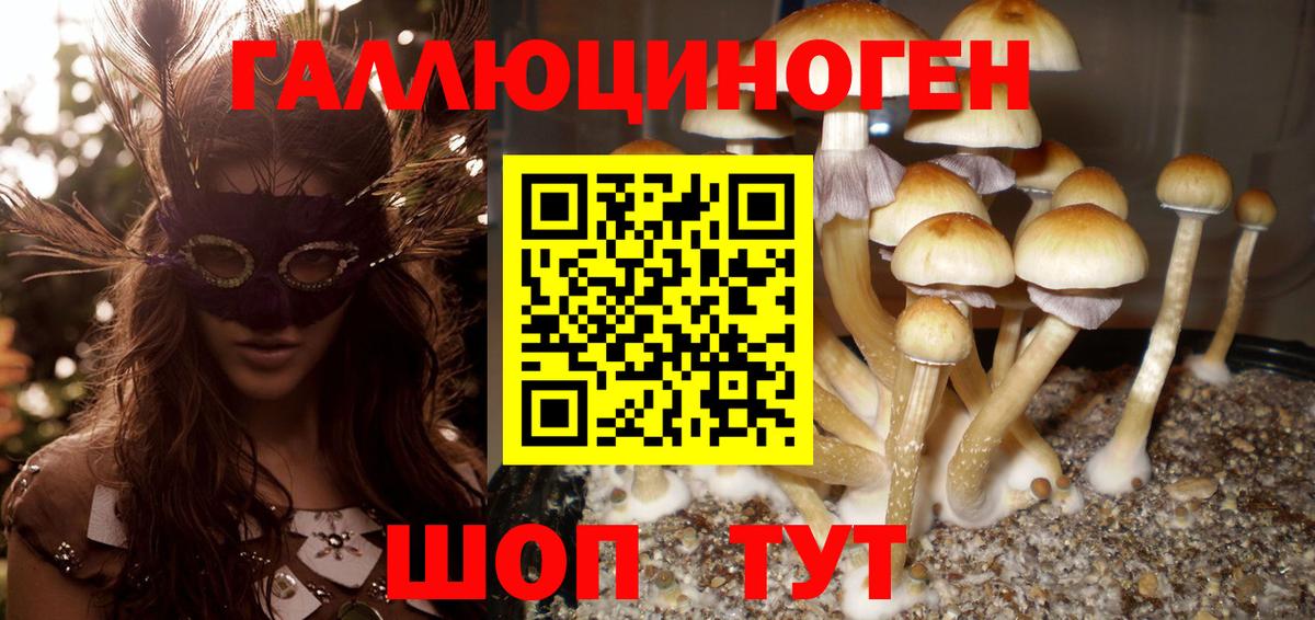 Галлюциногенные грибы мухоморы  Вход с VPN  Апрелевка 
