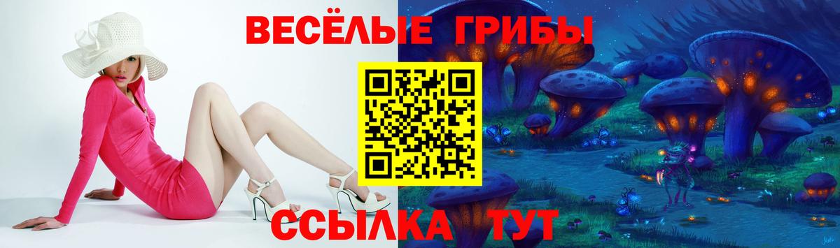 Галлюциногенные грибы GOLDEN TEACHER Апрелевка
